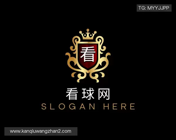 了解看球网